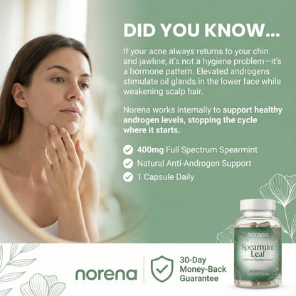 Norena™ Spearmint Leaf